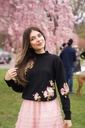 Beautiful like a Spring Butterfly, Blouse