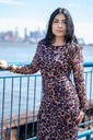 This Tiger Dress is Everything 